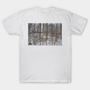 Escarpment snow fall T-Shirt